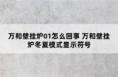 万和壁挂炉01怎么回事 万和壁挂炉冬夏模式显示符号